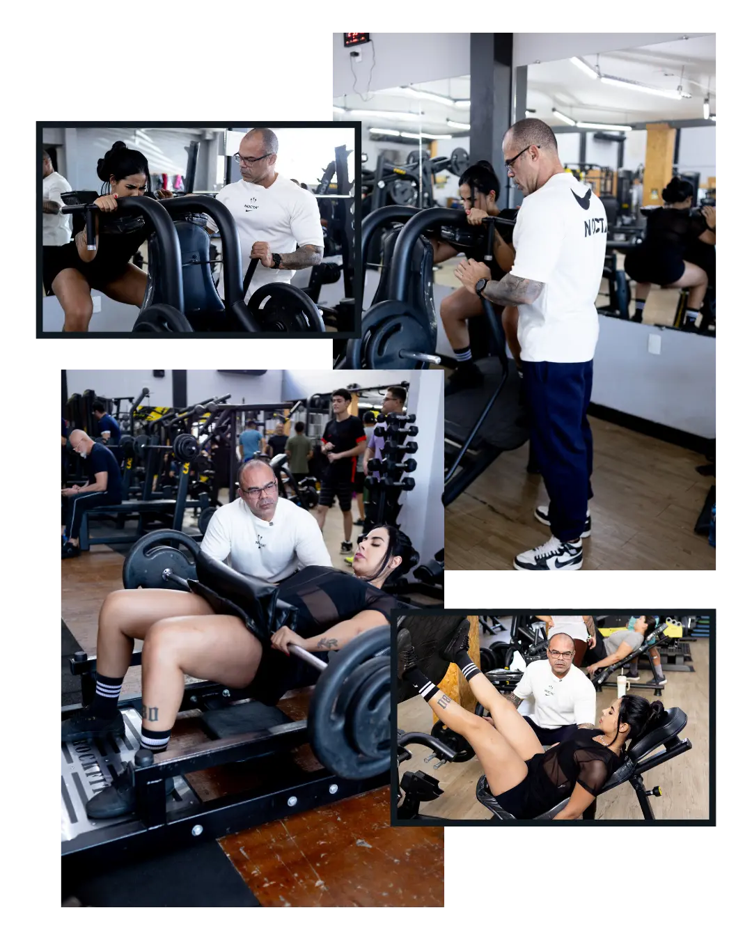 Visual da consultoria